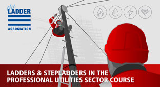 L.A Ladders & Stepladders in the Professional Utilities Sector Course course card